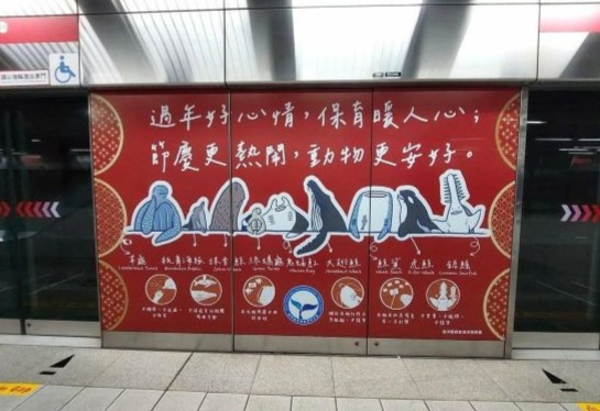 過節歡慶不忘保育　海洋保育署辦理年節海洋保育宣導抽獎活動 1